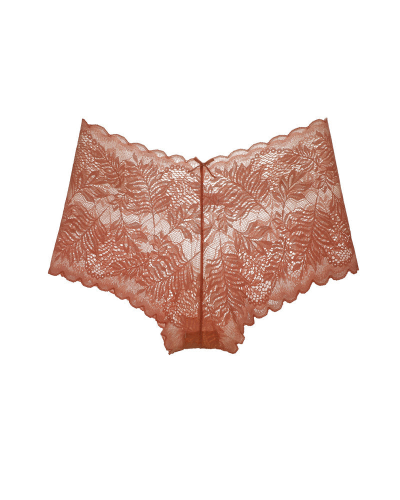 Women's Cotton Bottom Semi-Transparent Seamless Soft Lace Panties