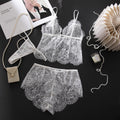 Deep‑V Sheer Lace 2‑Piece Lingerie Short Set