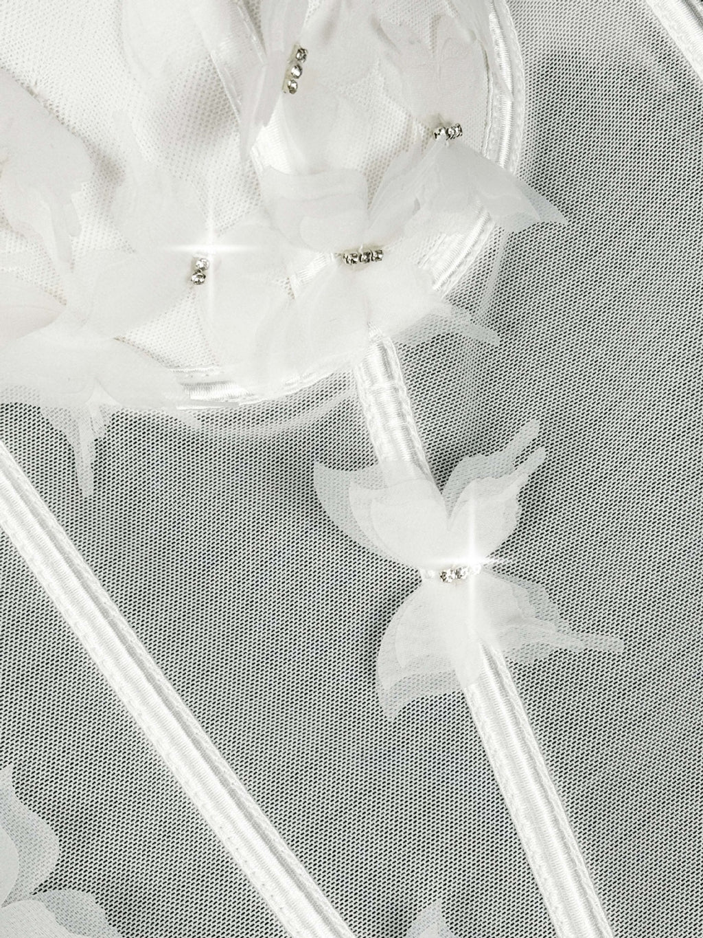 Butterfly Appliqué Corset Lingerie Top