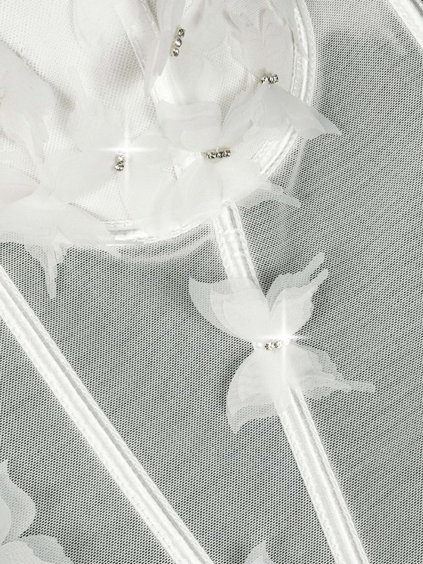Butterfly Appliqué Corset Lingerie Top