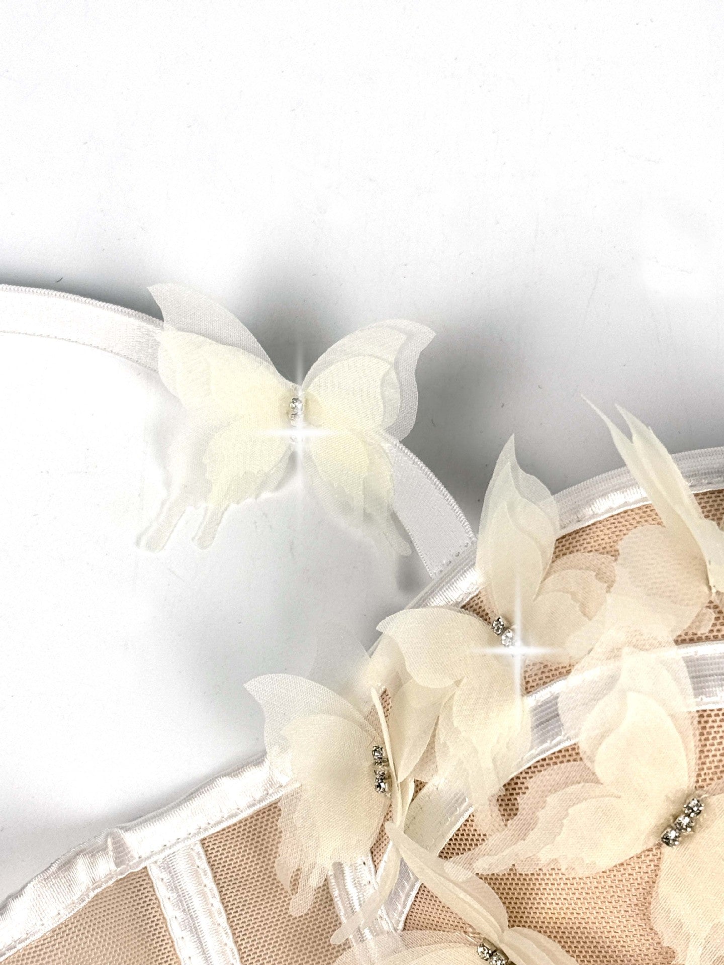 Butterfly Appliqué Corset Lingerie Top