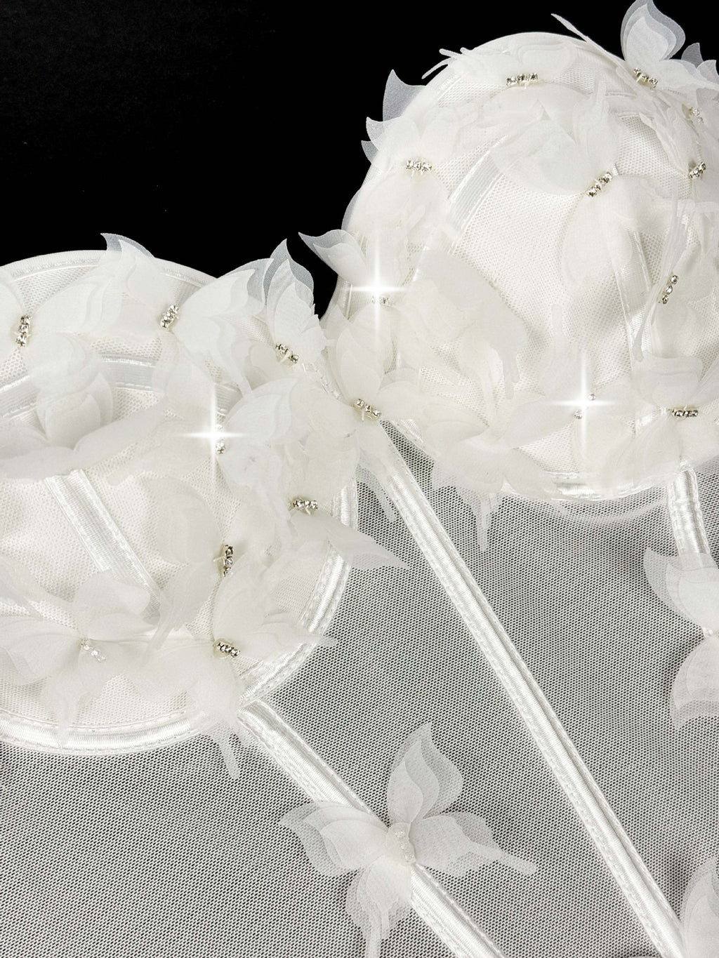 Butterfly Appliqué Corset Lingerie Top