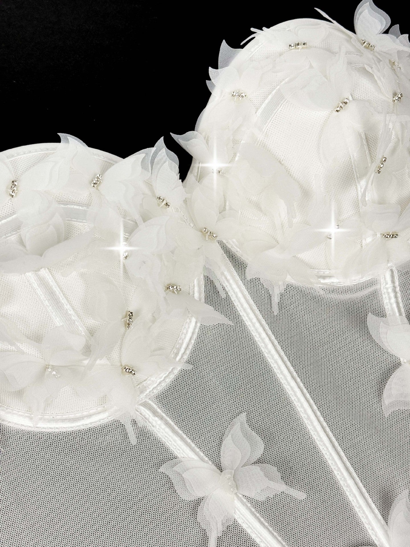 Butterfly Appliqué Corset Lingerie Top
