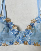 Blue Sexy Mesh Floral Embroidered See-through Lingerie Set